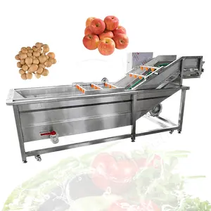 OCEAN Papaya Bubble Type Tomato Shrimp Clean Machine Green Leaf Fruit and Vegetable Wash Machine Supplier