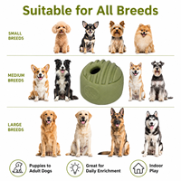Balle de puzzle pour chien en caoutchouc vert menthe, marque privée, pour l'alimentation lente et le soutien au nettoyage des dents