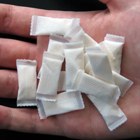 Machine à emballer automatique de remplissage de poudre de Snus humide de sachet de tissu non tissé de 0.5g 1g