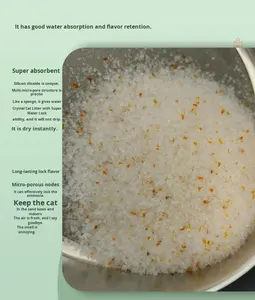 رمل سيليكا شفاف قوي لإزالة الروائح بدون رائحة، فراش للقطط منخفض الغبار، خفيف الوزن، غير متكتل، سريع الذوبان - Product Image 5