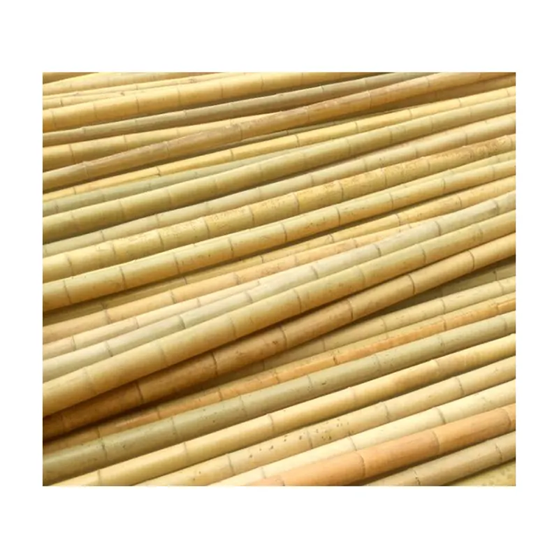 Fournisseur chinois de bambou pour la construction Poteaux de bambou naturel Canne Tonkin