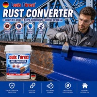 Cat Cair Konverter Karat Langsung ke Logam, Cat Primer Anti Korosi, Tugas Berat untuk Pipa Baja Besi, Cepat Kering, Grosir