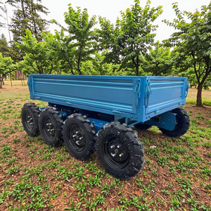 Mini Dumper Elettrico Cingolato in Acciaio per Ogni Terreno, Veicolo da Trasporto Autonomo con 2 Anni di Garanzia per l'Agricoltura - Product Image 1