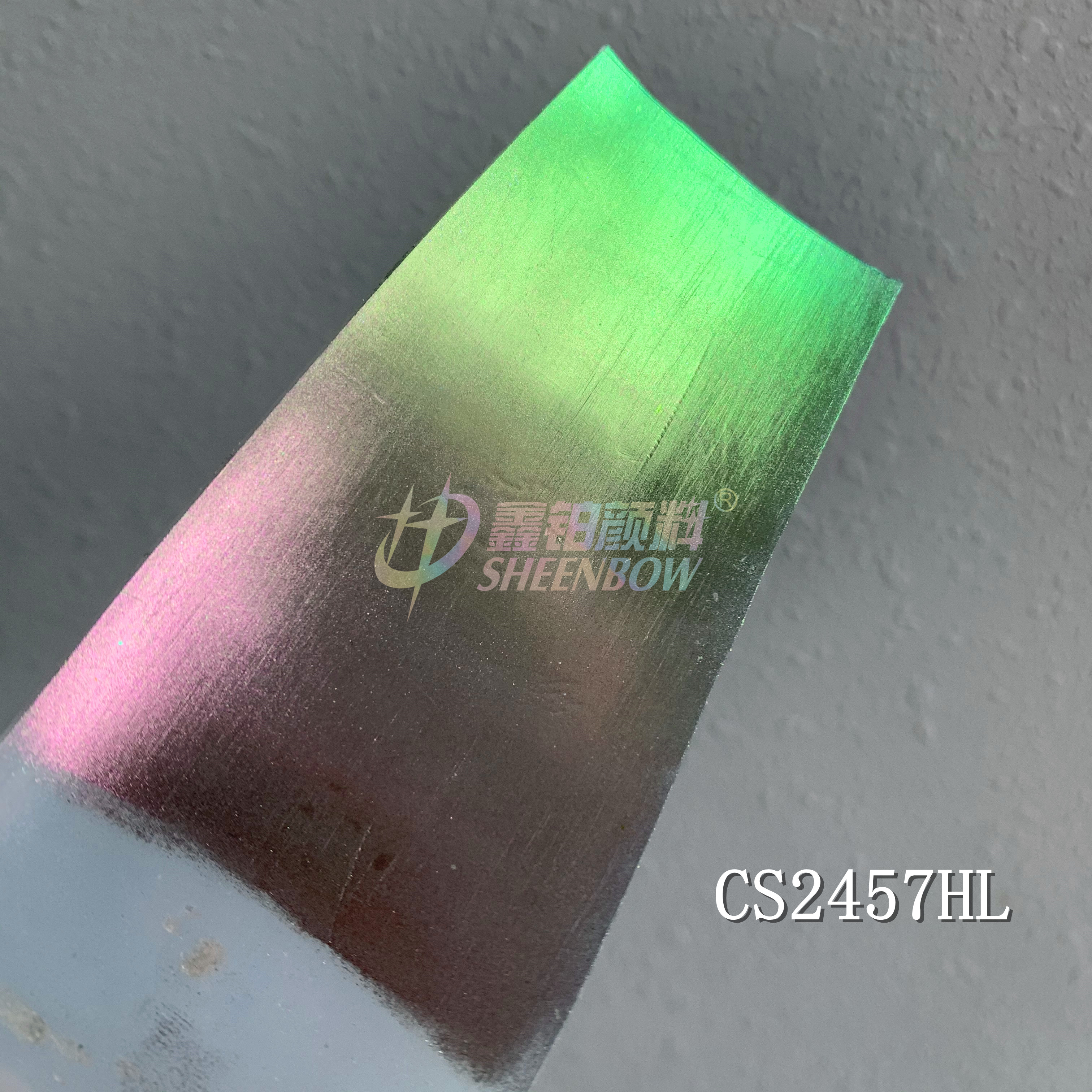 CS2457HL
