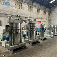Koudgeperste avocado-olie verwerkingsapparatuur Acai fruit hydraulische olie-extractiepers machine prijs