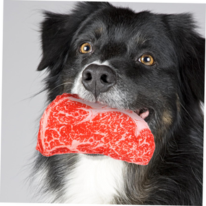 Nouveau produit en promotion : Jouet interactif de simulation pour animaux de compagnie (chiens, chats, poissons) avec son, pour l'entraînement et la mastication - Product Image 2