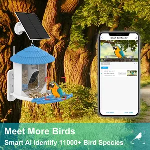 Best Price 360 Degree View 4MP Smart Bird Feeder Wild Angle Motion Detection Feeder With Night Vision
