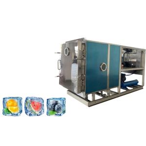 Liofilizador al Vacío de Gran Capacidad para Producción de Alimentos, Frutas y Verduras Liofilizadas - Product Image 1