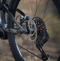 VTT Électrique en Carbone DJI Amflow PL avec Système de Transmission DJI Avinox Écran de Contrôle LED Intégré VTT Électrique Tout Suspendu Amflow PL