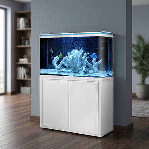 Aquarium en verre écologique pour poissons Betta tropicaux, avec filtre automatique LED, pour salon et bureau (vente en gros) - Product Image 3