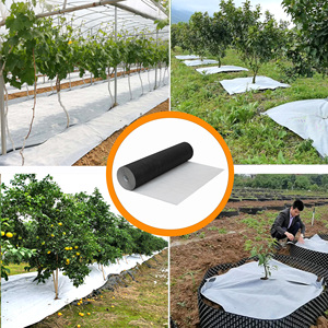 Tessuto Anti-Erbacce ENON 1m X 50m, Resistente ai Raggi UV, Biodegradabile, in PP Non Tessuto, Taglio Personalizzato - Product Image 4