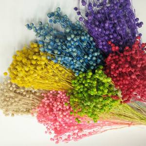 Usine en gros véritables arrangements de fleurs séchées <span class=keywords><strong>lin</strong></span> séché naturel pour la Saint-Valentin maison et mariage décor Bouquet - Product Image 2