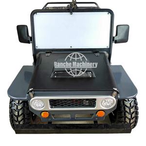 Mini Vehículo a Gas/GLP para Adultos con Transmisión Automática de 150-250HP para Jeep Willys UTV Dune Buggy - Product Image 1