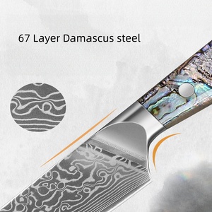 Factory wholesale High-quality professional chef kitchen <b>knife</b> set 67Layer Damascus steel VG10 With abalone shell resin handle - Product Image 4