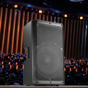 Chất lượng cao chuyên nghiệp hệ thống âm thanh xách tay 350W RMS USB 12 "loa siêu trầm tủ nhựa loa - Product Image 6