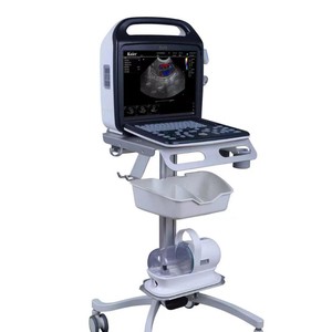 Appareil d'échographie vétérinaire Kaier, portable, couleur Doppler, équipement de diagnostic pour usage médical - Product Image 1