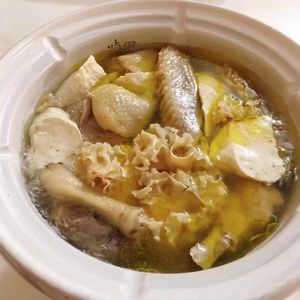 Exportación de China, Coliflor Fresca de Origen, Champiñón <span class=keywords><strong>Sparassis</strong></span> <span class=keywords><strong>Crispa</strong></span> para la Venta - Product Image 6