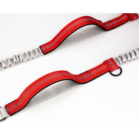 Laisse de course mains libres de luxe personnalisée pour chien et chat, en nylon, avec ceinture ajustable, double poignée, élastiques et corde rétractable