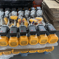 Nouvelle treuil électrique portable à câble métallique avec moteur en cuivre de 100 kg à 1000 kg, télécommande incluse, pour hôtels, 110 V/220 V