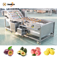 800kg/uur Fruit- en groentewasmachine, wassysteem voor wortelen, passievruchten, avocado's, citroenen, appels.