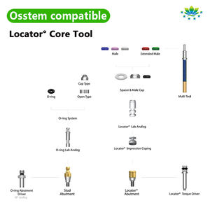 Tandheelkundige Implantaat <span class=keywords><strong>Locator</strong></span> Core Tool Kit Voor Legacy-Systeem, Stalen Core <span class=keywords><strong>Locator</strong></span> Tool & Abutment Schroevendraaier Set Fabriek Directe Levering - Product Image 3
