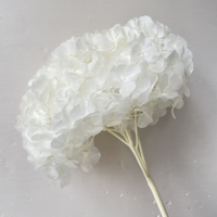 Bunga Hydrangea Kering Berkualitas Tinggi, Daun Besar, Warna Baby Pink, Ungu, Putih, Hijau, Biru Besar, Bunga Hydrangea Awet