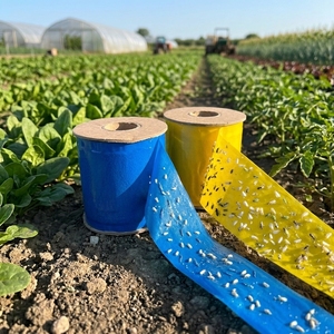15 Cm X 100 M Non-toxic Yellow Blue Sticky Insect <strong>Roll</strong> Thrips/Whitefly Waterproof Both Sides Pest Trap For Plant Protection - Product Image 1