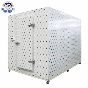 温度に敏感な製品のためのウォークインフリーザーシステムとブラストフリーザー機能を備えた高度なクールルームテクノロジー - Product Image 3