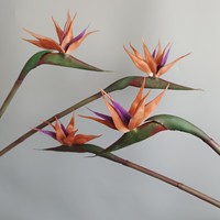 Fleur artificielle d'oiseau de paradis en latex de qualité, décoration douce de maison, fleurs de haute garde