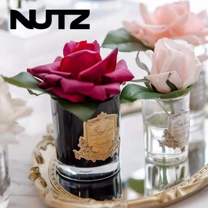 Cote Noire <b>Reed</b> <b>Diffuser</b> Glass Aromatherapy Floral Fragrance All Season Use - Product Image 5