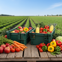 Bacs de rangement robustes et durables en plastique, empilables, pour le transport de denrées alimentaires et de poisson, capacité 180 litres