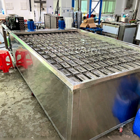 Machine Industrielle de Fabrication de Blocs de Glace à Refroidissement par Air, 500 kg, 10 kg, à Saumure, pour l'Afrique du Sud