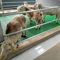 Plancher en plastique pour moutons et chèvres, plancher à lattes pour élevage de moutons, plancher en plastique pour abri d'élevage de chèvres
