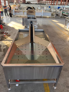 Limpiador Automático de Huevos de Pato y Gallina, Lavadora Automática de Huevos, Línea de Máquinas de Limpieza de Huevos - Product Image 2