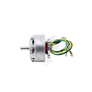 Long-lasting High Efficiency Low Maintenance Environmentally Friendly Customizable mini BLDC Brushless Motor multiple appliance