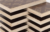 Oferta Especial: Contrachapado Fenólico de Álamo E1 de 4x8 pies con Película Negra para Construcción de Hoteles, Encofrados de 12mm y 18mm