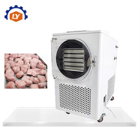 30kg Fruit Liofilisator Machine Klein Mini Laboratorium Vacuüm Thuis Voedsel Vriesdroogapparaat