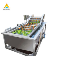 Laitue végétale commerciale carotte et fruits figue de barbarie pomme fraise mangue Machine de nettoyage à bulles Machine à laver les tomates