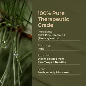 Óleo essencial em massa para pinha, óleo para uso cosmético de pinha natural pura agulha para perfume
