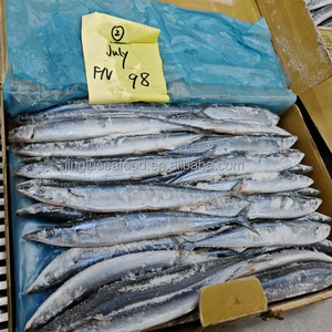 קרטון דגים טריים של דג סאורי מקדריל פסיפי, עשיר בחלבון, קפוא, שלם, בעל טריות ממושכת - Product Image 2