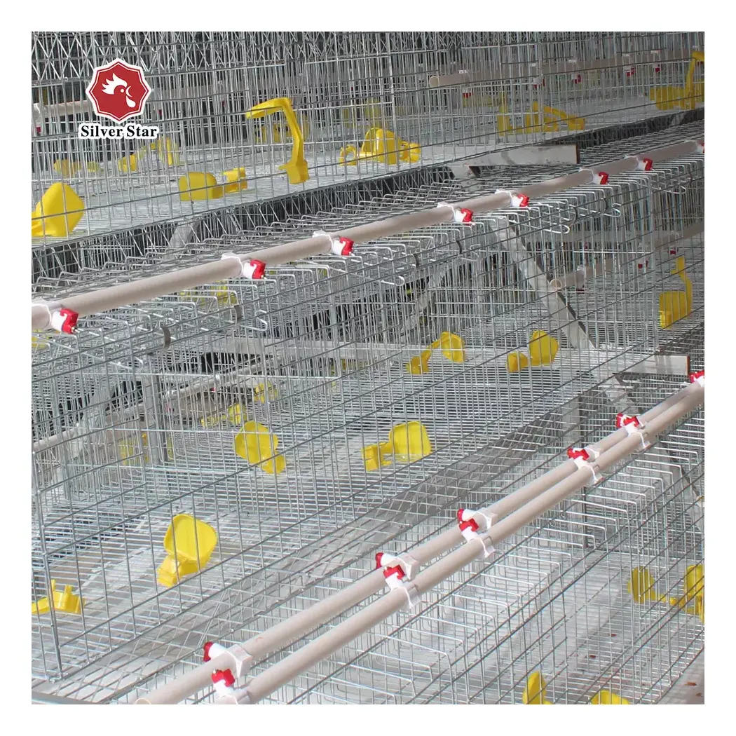 Customized Feeding Layer Chicken Cage Poultry Rearing Multi-layer Automatic Chicken Layer Cage