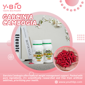 गार्सिनिया कैंबोगिया कैप्सूल को निगलना आसान है ताकि ओम और ओडम शाकाहारी जहाज करने के लिए तैयार पुरुषों के लिए तैयार - Product Image 3