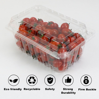 500g récipient alimentaire en plastique personnalisé fruits frais Punnet avec fraises bleuets cerises tomates boîte à clapet