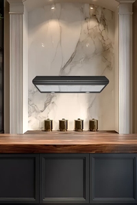 <span class=keywords><strong>Hotte</strong></span> <span class=keywords><strong>aspirante</strong></span> combinée <span class=keywords><strong>professionnelle</strong></span> de type T, plaque chauffante électrique, classe d'efficacité énergétique, largeur 600 mm, OEM commercial - Product Image 3