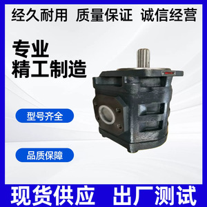 Permco <b>Gear</b> <b>Pump</b> 115133400 P124B085NSZA20 1 Stage Hydraulic <b>Pump</b> - Product Image 2