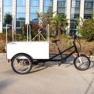 Bicicletta Elettrica a 3 Ruote per Consegne 48V 500W con Carico Posteriore e Box, Triciclo Cargo con Tettuccio, Prezzo di Fabbrica - Product Image 3