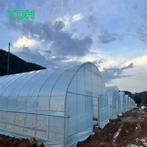 सुरंग ग्रीनहाउस प्लास्टिक फिल्म कवर, 150/200 माइक्रोन, 5 साल Uv प्रतिरोधी - Product Image 5