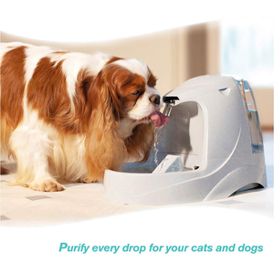 4 Filtros de Repuesto para Bebedero para Gatos de 1.5L/3L, Filtro LED para Bebedero de Agua para Mascotas - Product Image 6