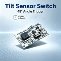Module de commutation à déclenchement par inclinaison DC5V 12V 5A, interrupteur intelligent 45 °   Module de commande d'angle PCB OEM ODM personnalisable pour éclairage LED