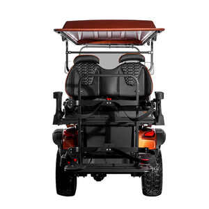 Véhicule de golf personnalisé 6 places avec grand écran, économique, pour le tourisme et les excursions, meilleur prix, certifié DOT - Product Image 3